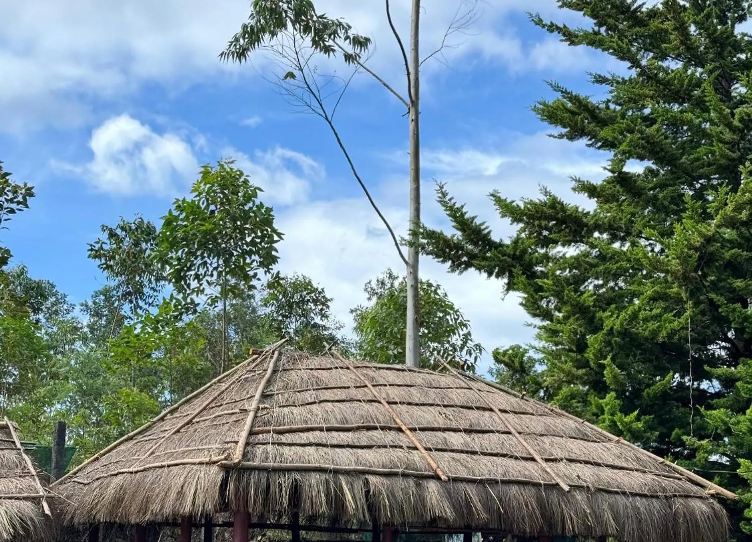 Farm Stay - Apple Valley Kanthalloor