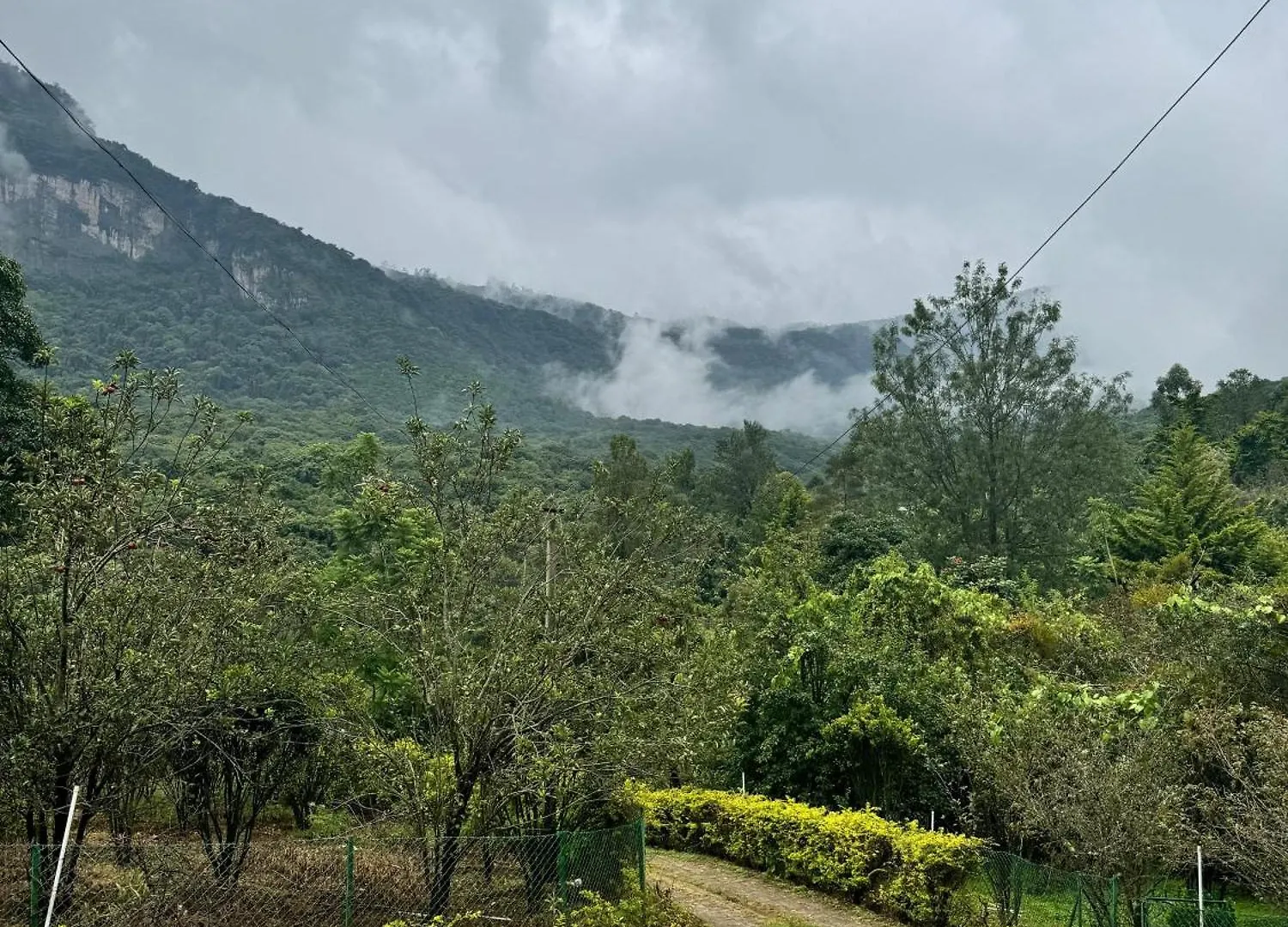 Farm Stay - Apple Valley Kanthalloor