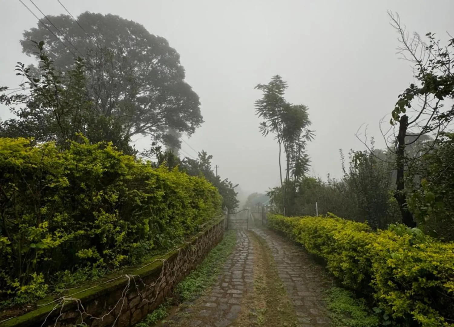 Farm Stay - Apple Valley Kanthalloor